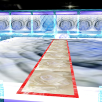 tapis mariage 04